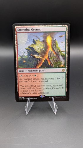 Stomping ground edge - edge, of